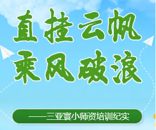 直挂云帆 乘风破浪 ——三亚寰小师资培训纪实